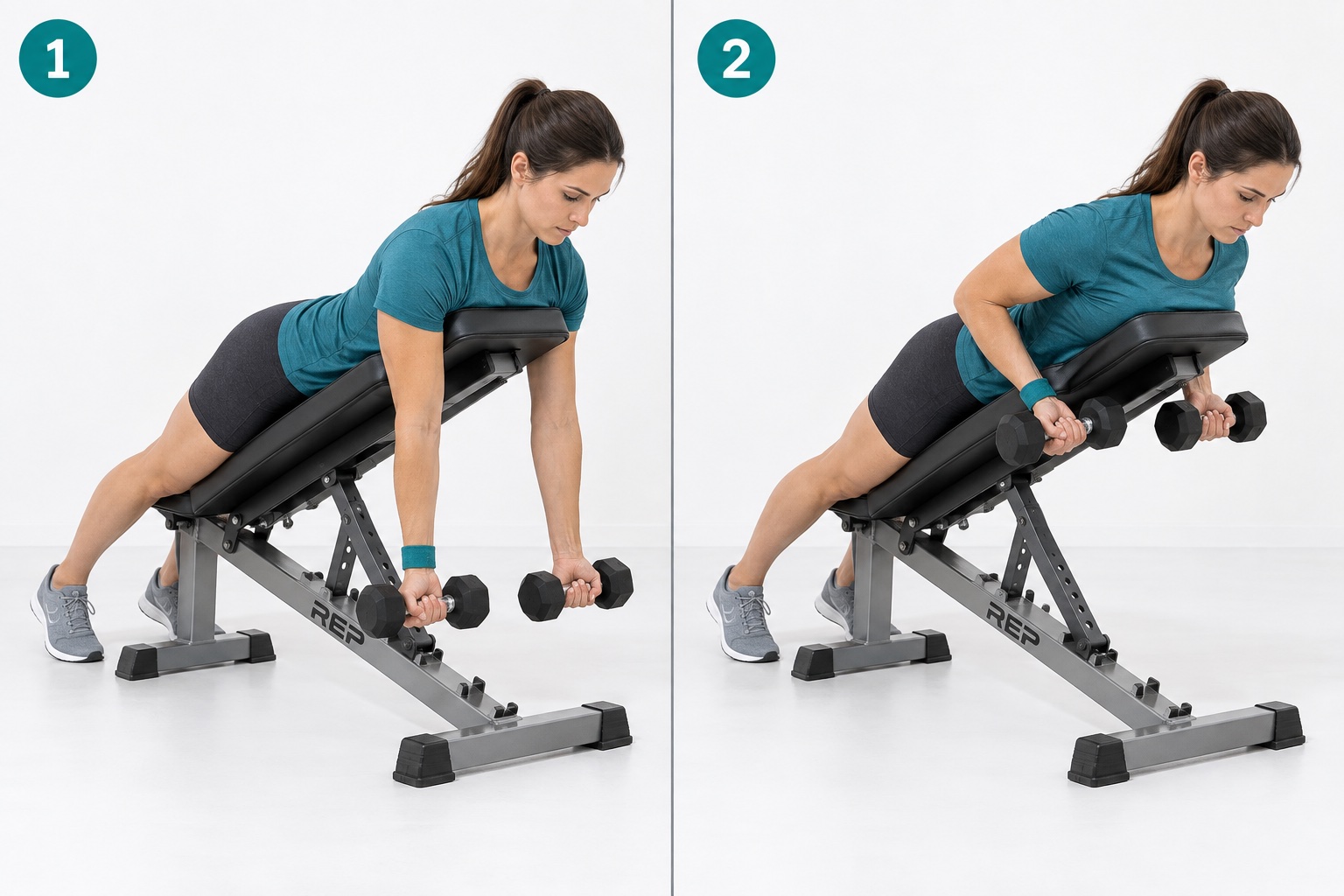 Chest Supported Reverse Grip Row: start and finish positions