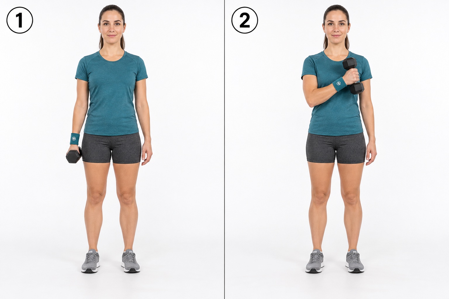 Cross Body Hammer Curl: start and finish positions