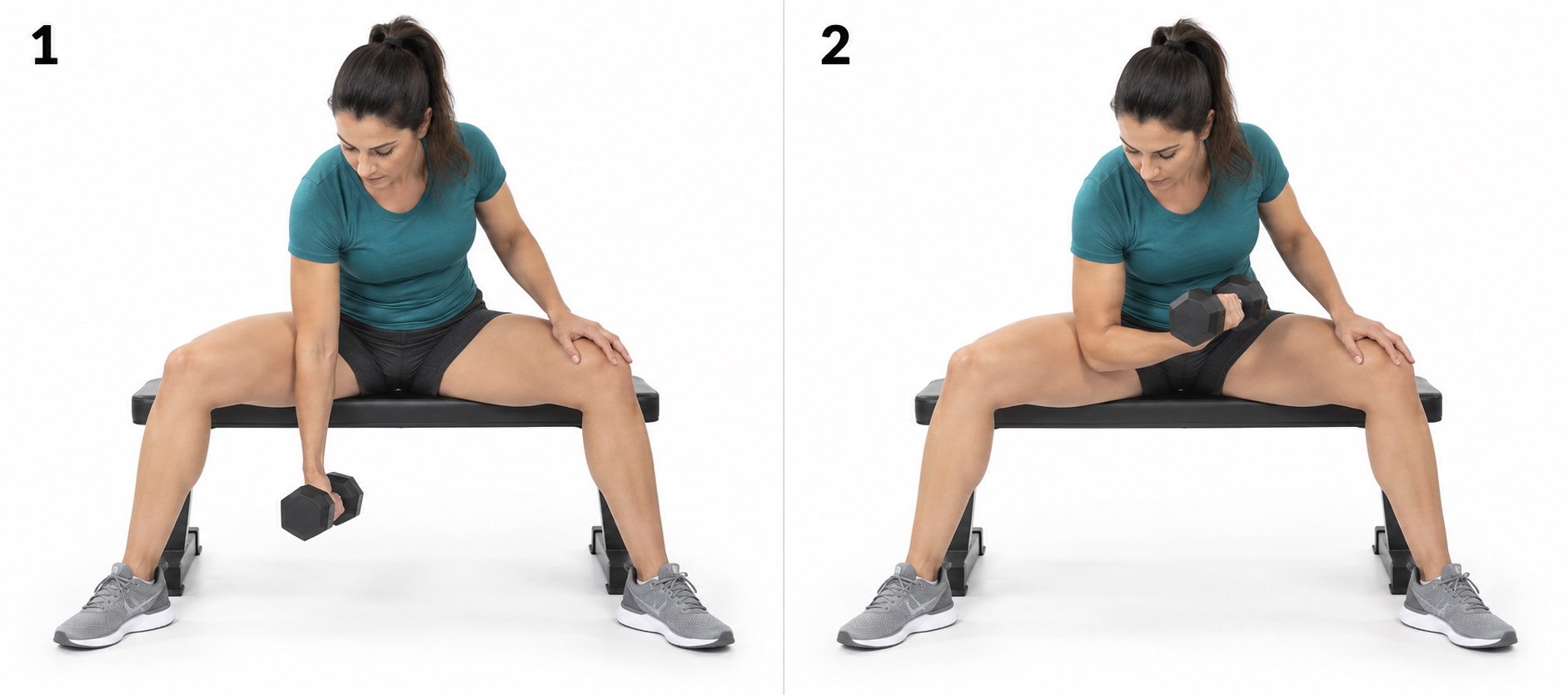 Dumbbell Concentration Curl: start and finish positions