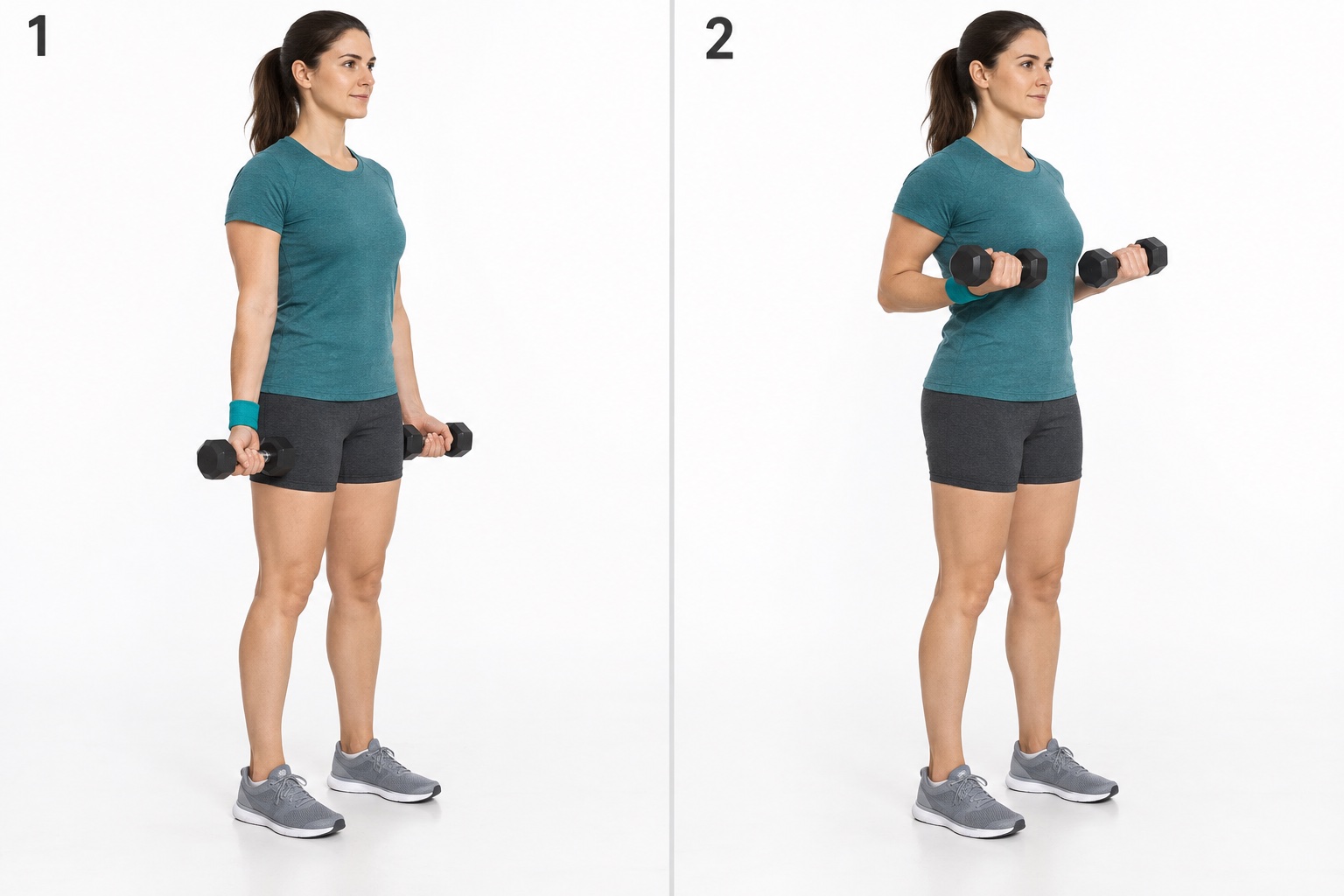 Dumbbell Drag Curl: start and finish positions
