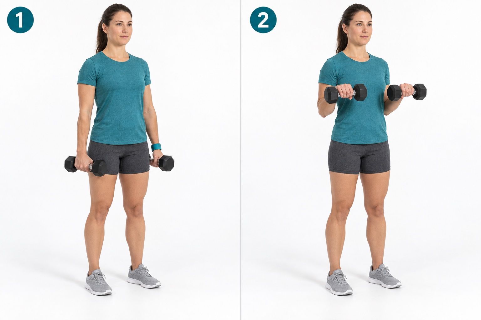 Dumbbell Reverse Curl: start and finish positions