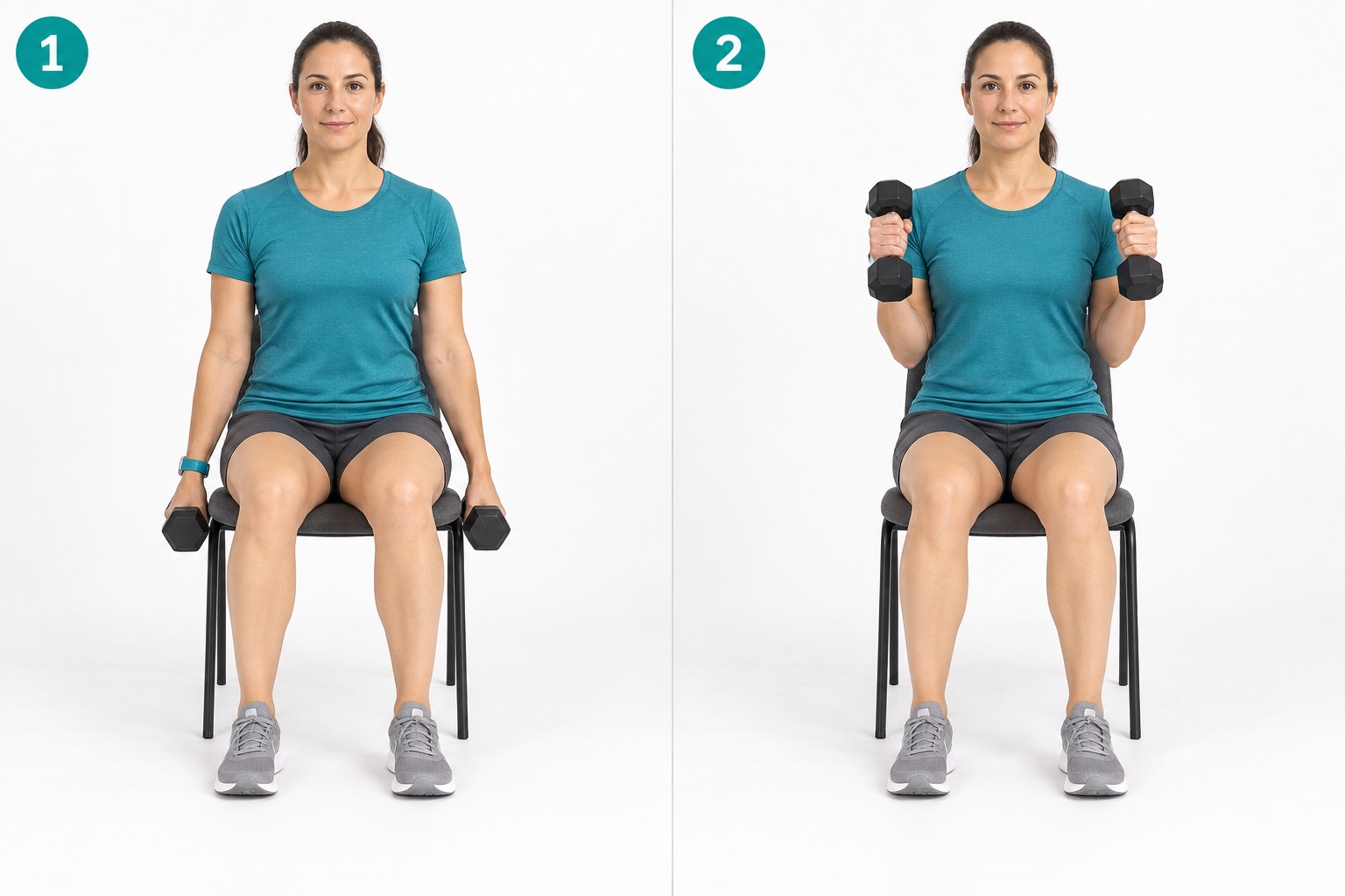 Seated Bilateral Hammer Curl: start and finish positions