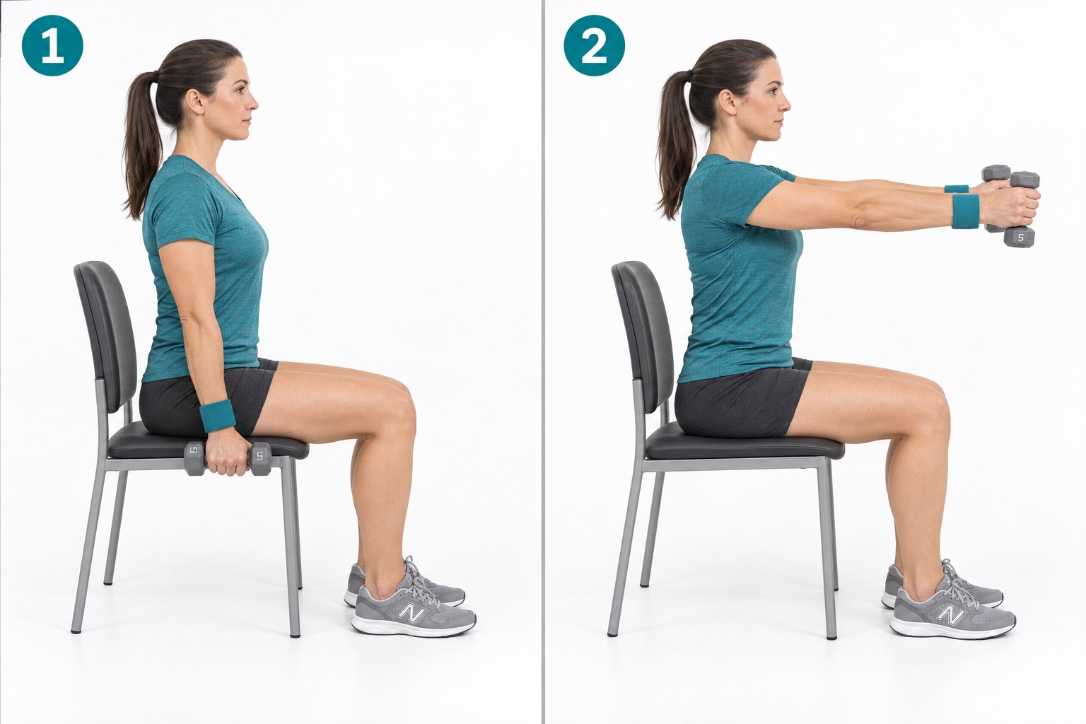 Seated Dumbbell Front Raise: start and finish positions